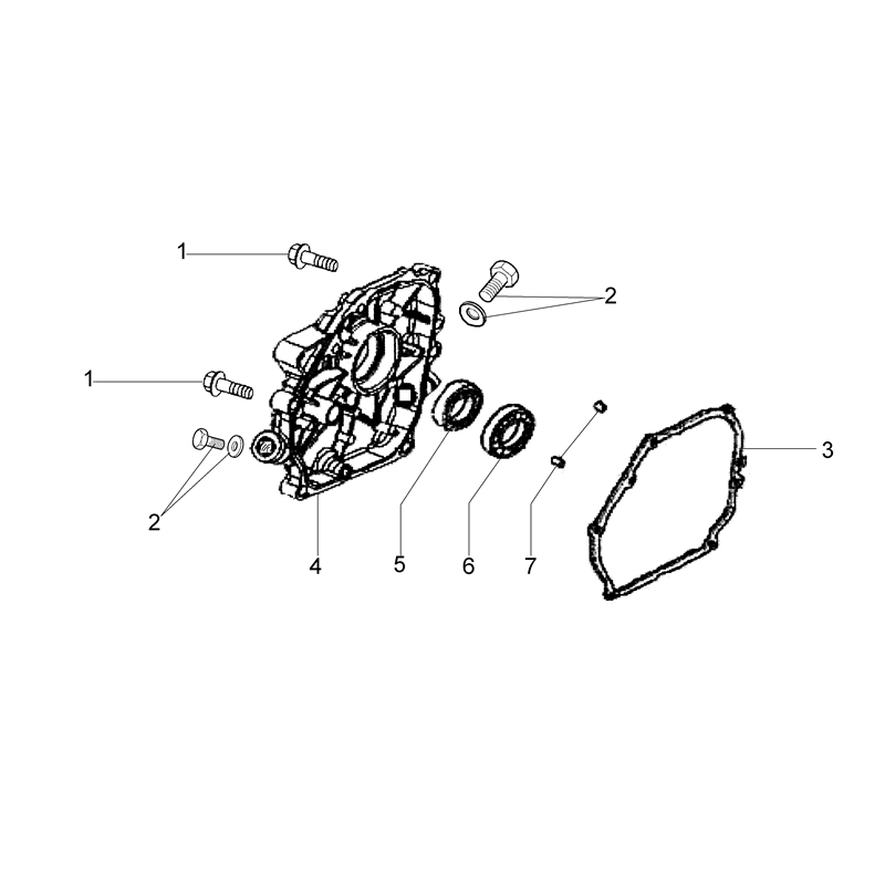 Bertolini 202 S (K800 H - SN T210) (202 S (K800 H - SN T210)) Parts Diagram, Crankcase cover