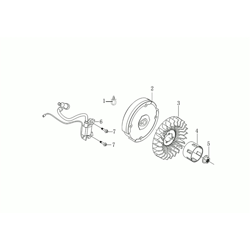 Bertolini 205 S (K800 HC - EURO5) (205 S (K800 HC - EURO5)) Parts Diagram, Flywheel and coil