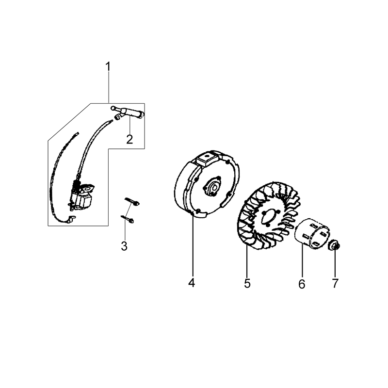 Bertolini 215 (EN 709) (K800 H - SN T210) (215 (EN 709) (K800 H  - SN T210)) Parts Diagram, Flywheel and coil