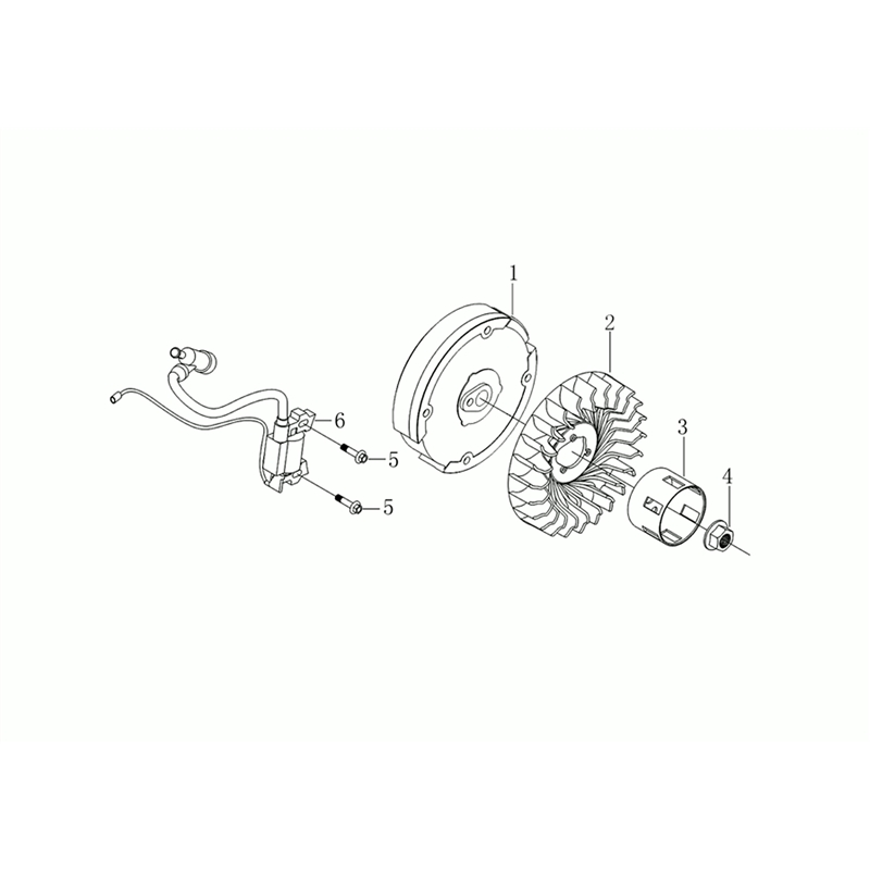 Bertolini 218 (K900 HR) - EURO5 (218 (K900 HR) - EURO5) Parts Diagram, Flywheel and coil