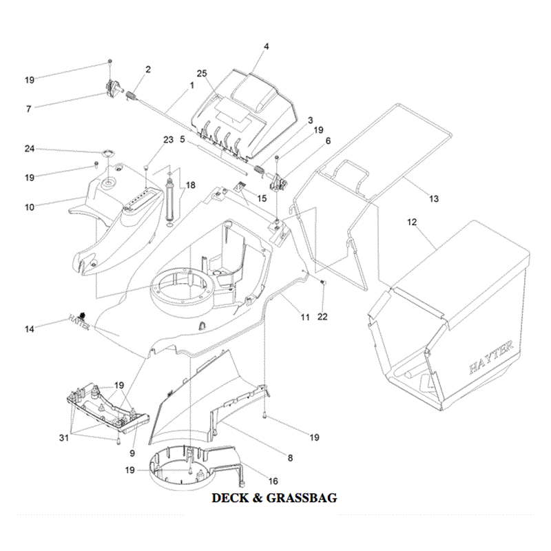 Hayter Harrier 41 (374) Push B&S Lawnmower (374A 406000000-406999999) Parts Diagram, Deck & Grassbag
