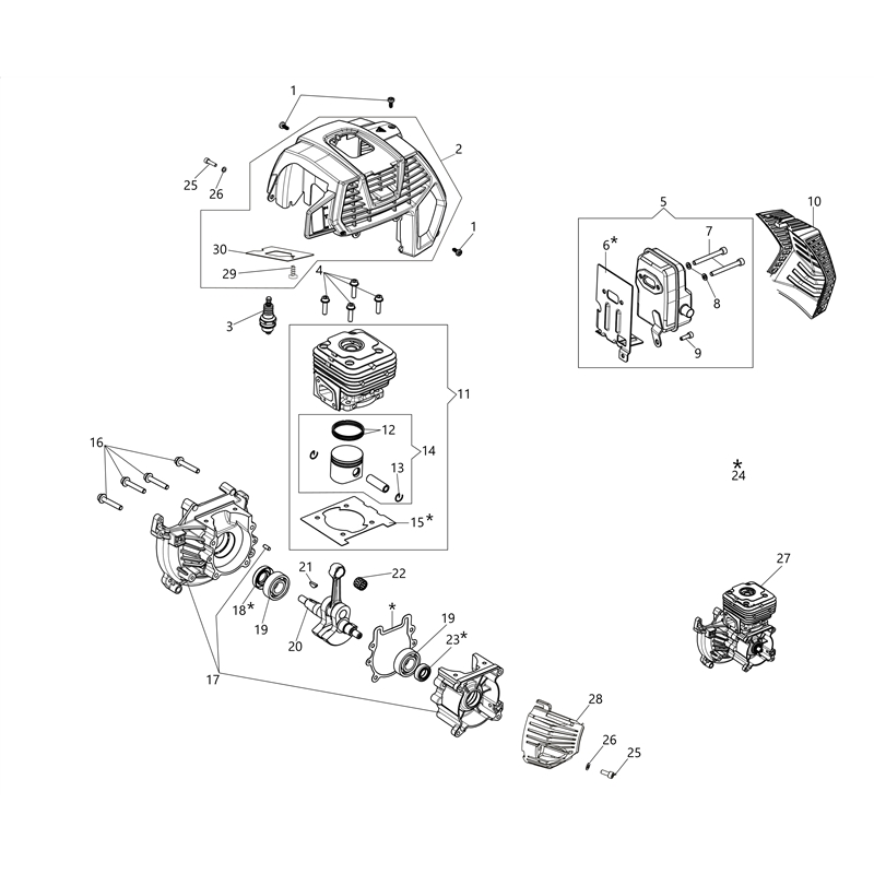 Oleo-Mac BCH 500 T (BCH 500 T) Parts Diagram, Engine