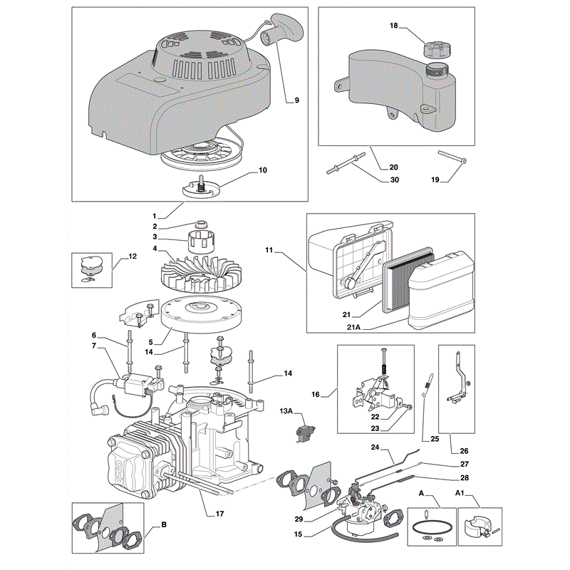 Castel / Twincut / Lawnking WBE0701-T (2009) Parts Diagram, Page 1