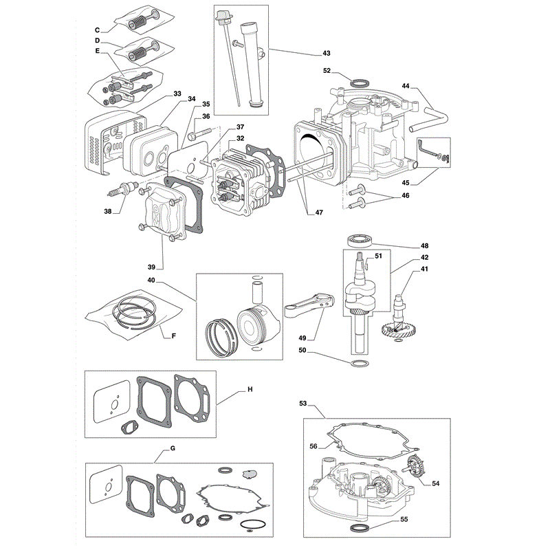 Castel / Twincut / Lawnking WBE0701-T (2009) Parts Diagram, Page 2