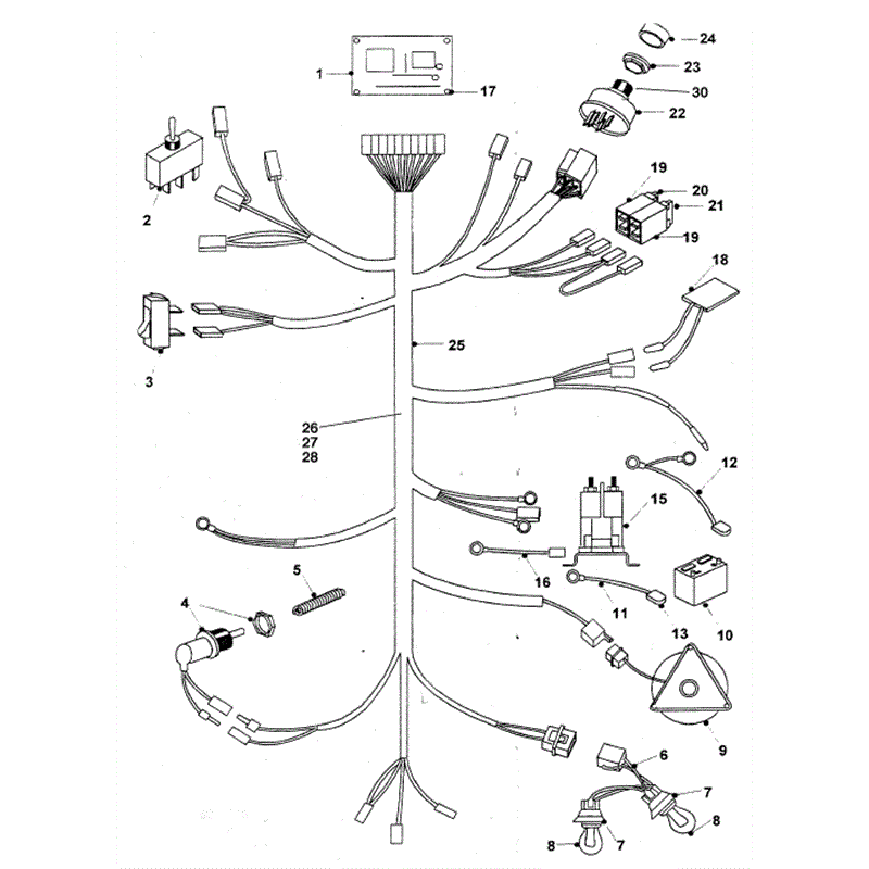 Hayter 15/38 (155N) Parts Diagram, Wiring Loom