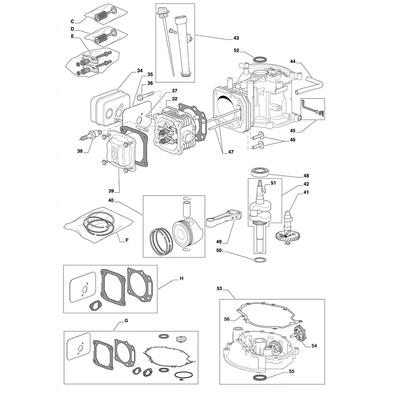 Castel / Twincut / Lawnking WBE0701-SILENT (2009) Parts Diagram, Page 2