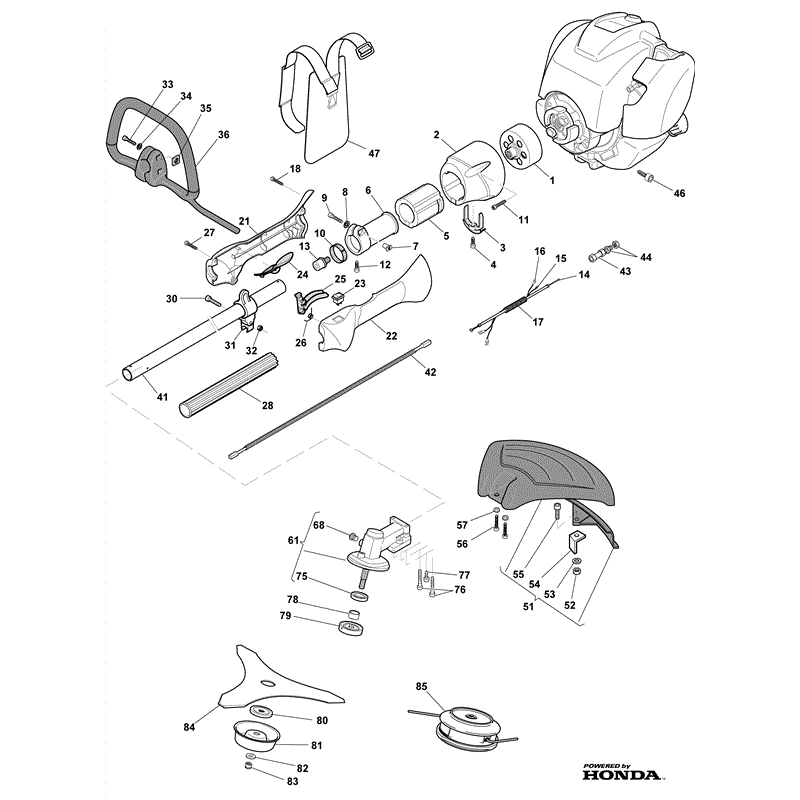 Mountfield MB 4251 Petrol Brushcutter [281240003/MO8] (2008) Parts Diagram, Page 1