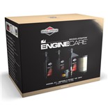 Briggs & Stratton Engine Service Kit for Model 31 and Series 4 INTEK™ I/C® OHV 