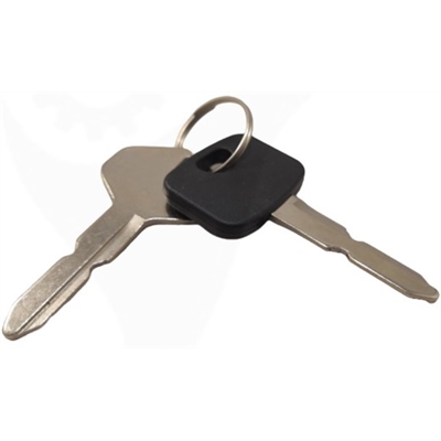 Mountfield Ignition Keys [Pair) - 118210023/0 