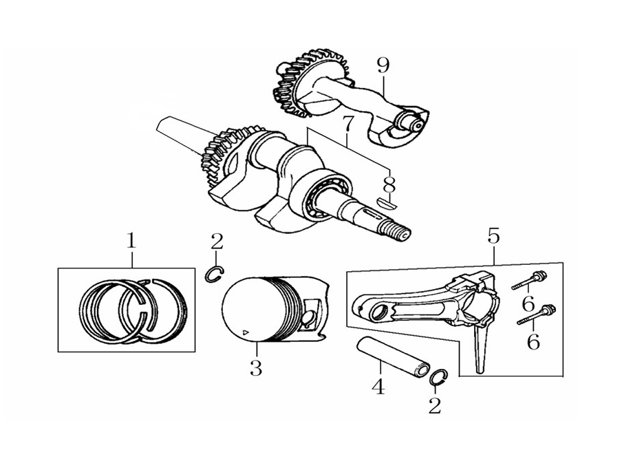 Crankshaft and piston