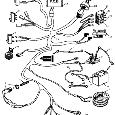 Main Wiring Loom