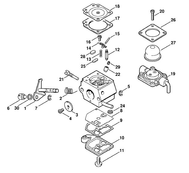 Carburetor C1QS53A