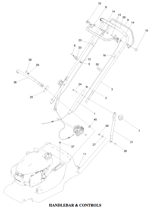 Handlebar & Controls