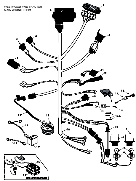 Main Wiring Loom