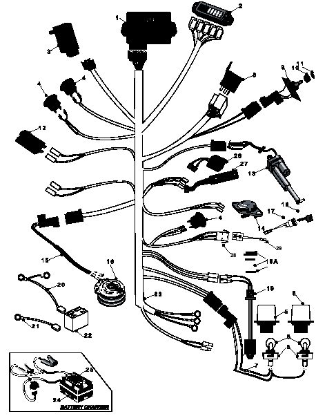 DH Wiring Loom