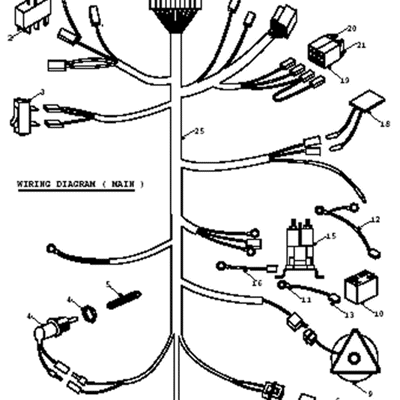 Main Wiring Loom