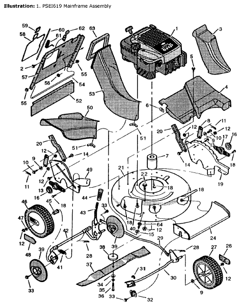 Main Body