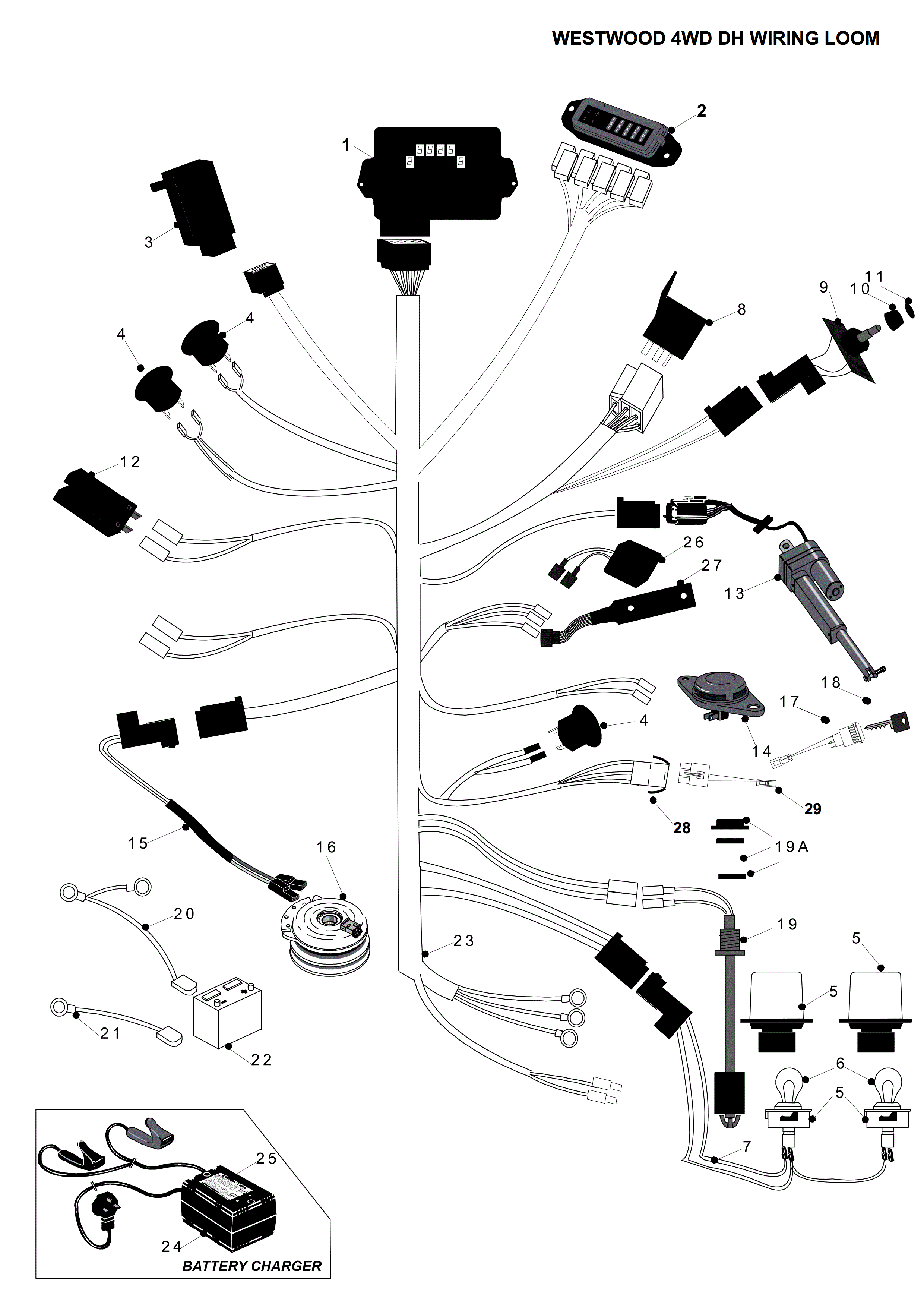 DH Wiring Loom