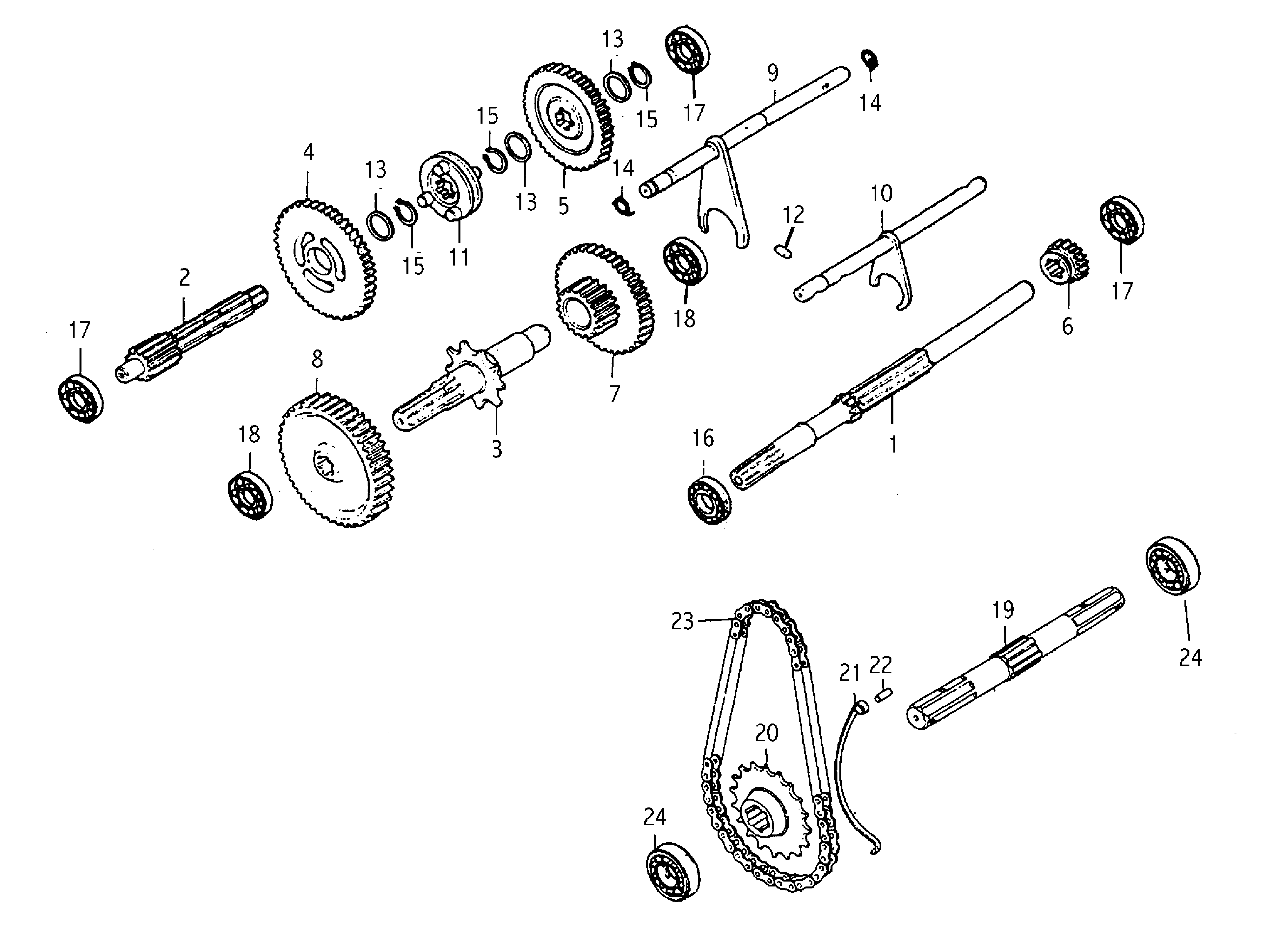 Speed gears of the gearbox