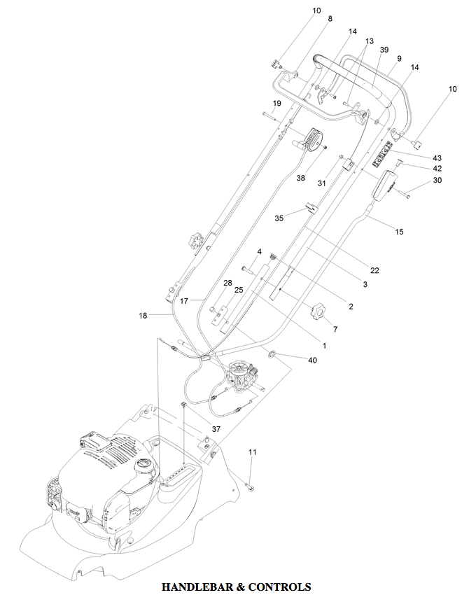 Handlebar & Controls