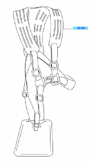 Hanger