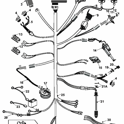 Wiring Loom