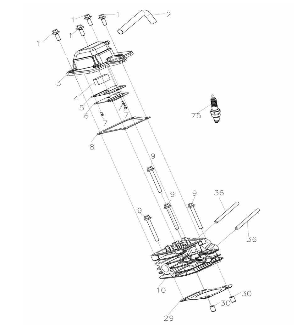 Cylinder head