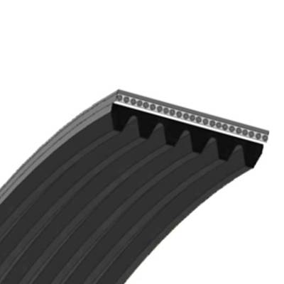 Multi-Ribbed Belts