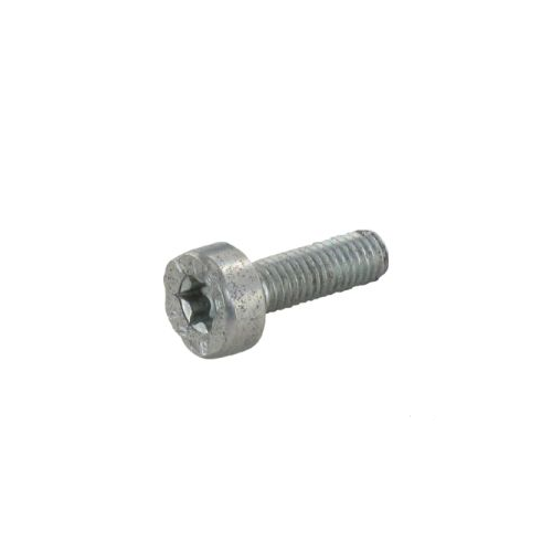 Stihl Spline screw IS-M5x16