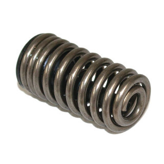 Husqvarna  Spring Cylinder Assy
