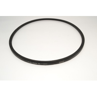 Hayter Belt (hb)