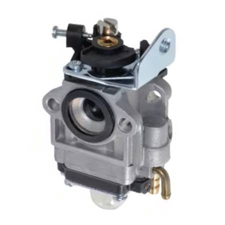 Castel / Twincut / Lawnking Carburettor