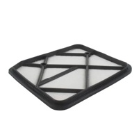 Efco Filter - Air