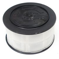 Stihl Air filter