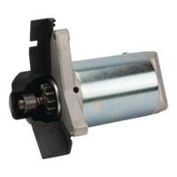 Castel / Twincut / Lawnking Starter Motor