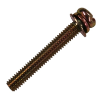 Echo Screw