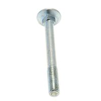McCulloch Screw