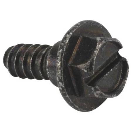 Alpina  Flanged Screw