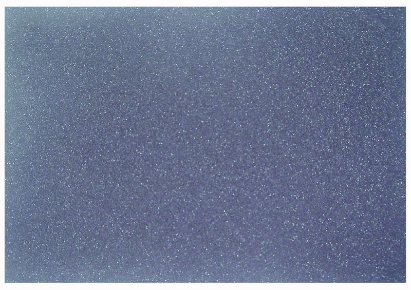Honda Filter. Outer - 17218-ZJ1-840