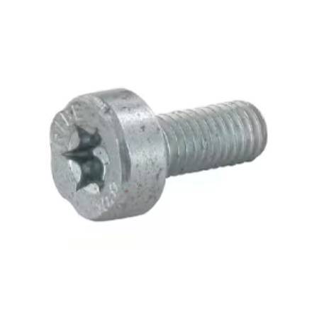 mshichin品です Stihl Spline screw IS-M5x12 - 9022 341 0960