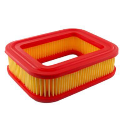 Castel / Twincut / Lawnking Air Filter