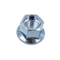 Echo Nut. Flange 6