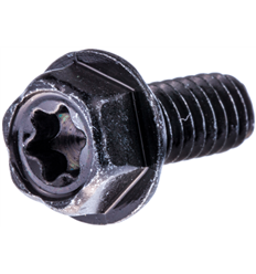 McCulloch Screw