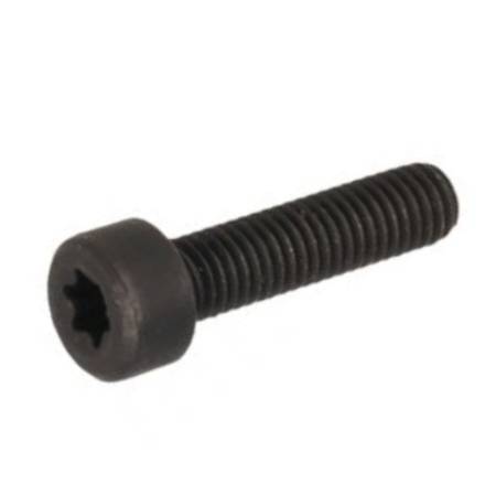 Mountfield Manifold Screw