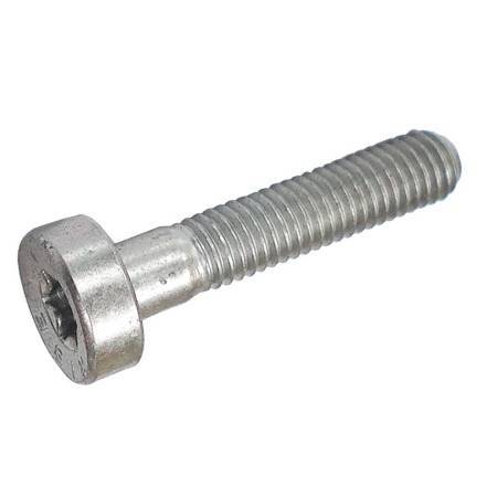 Stihl Spline screw