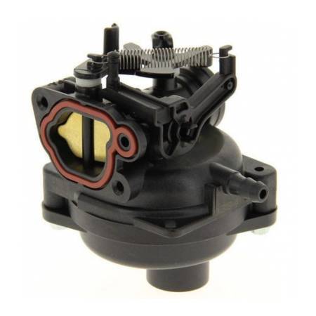 Briggs & Stratton Carburetor