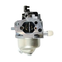 Castel / Twincut / Lawnking Carburettor