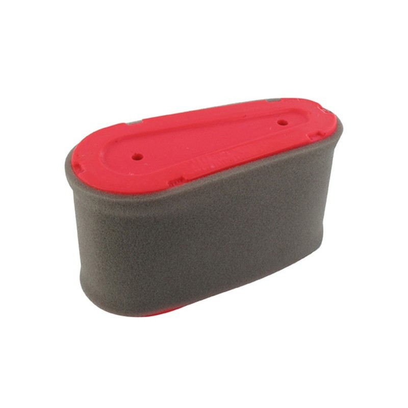 Castel / Twincut / Lawnking Air Filter
