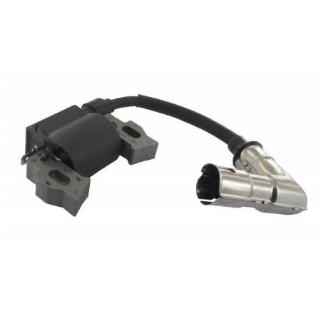 Castel / Twincut / Lawnking Ignition Coil