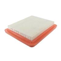 Mountfield Air Filter (Wix Filters)